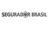 Segurador Brasil - Email Marketing para Corretores - EMKT